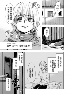 [いーないん (いーなん)] もう、姉として認識できない。｜我没办法再把她当作姐姐 [着火个人汉化] [無修正]_04