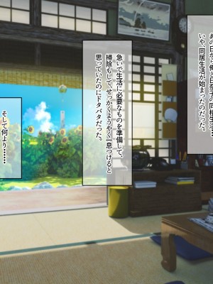 [なのはなジャム (遠山紅, Akito)] 巨乳バリキャリOLが超ド田舎に住む男と いちゃらぶ関係になって一夏の間ひたすら中出ししまくる話_033