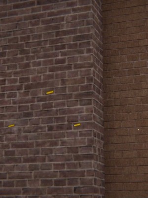 [听话的阿伟] 我的吸血鬼警察妈妈 03_00681