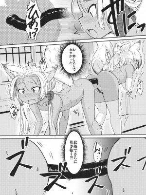 (C103) [端末異常 (BadHanD)] 双狐の帳 其の漆_05