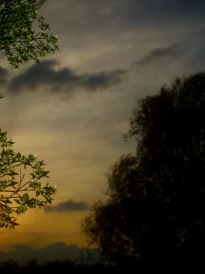 美母教师 二_069