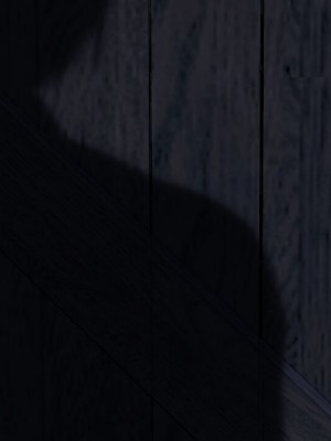 [250歩の路地] 酒場の幼馴染【影黑个人机翻】_209