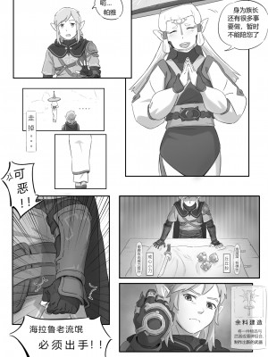 海拉鲁欲望传说_06