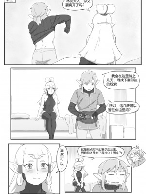 海拉鲁欲望传说_22