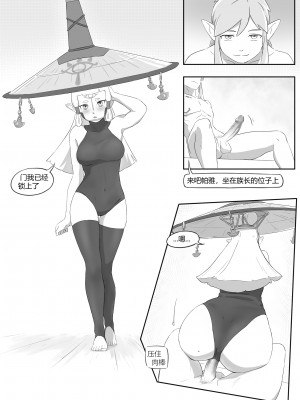 海拉鲁欲望传说_26