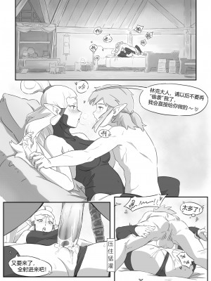 海拉鲁欲望传说_19