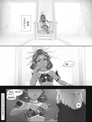 海拉鲁欲望传说_34