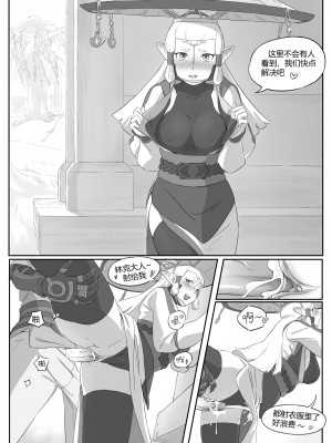 海拉鲁欲望传说_24