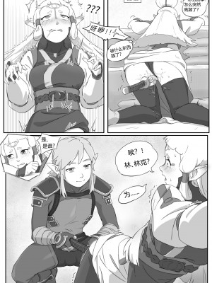 海拉鲁欲望传说_09