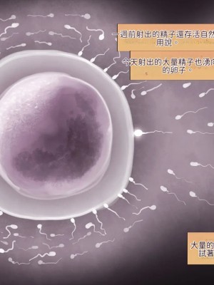 [サークルめでをい (めでをい)] 寝取られネネさん その5 〜排卵日のカノジョの子宮に大量に注がれる、中年オヤジの濃厚孕ませ種汁〜 [Minz繁體中文機翻]_421