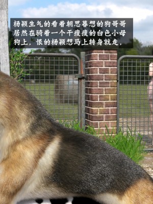 [大王該起牀了] 失身於它 4_0022