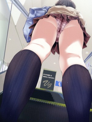 [嘘つき屋 (大嘘)] 通勤道中であの娘がぱんつを見せてくる本 2 [靴下汉化组] [DL版]_Oouso2_0011