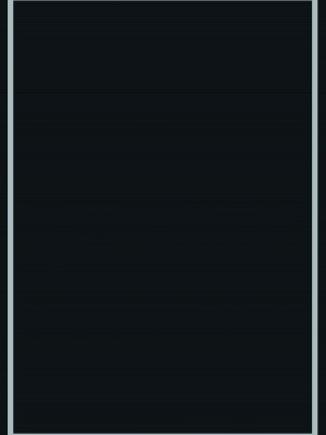 [星井ガル] 美甘ネル 改造記録 File.07（終） (ブルーアーカイブ) [白杨汉化组]_025