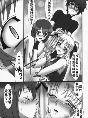 [BOBCATERS (波紋愛)] DISTRICT N vol.1 (魔法少女リリカルなのは)&nbsp;&nbsp;[流木个人汉化]_62