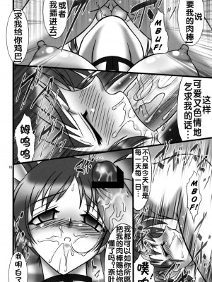 [BOBCATERS (波紋愛)] DISTRICT N vol.1 (魔法少女リリカルなのは)&nbsp;&nbsp;[流木个人汉化]_75