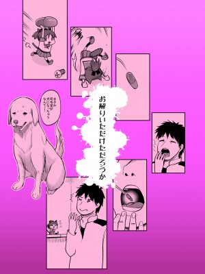 [お解りいただけただろうか (海山そぜ)] 敷波わんわんわん (艦隊これくしょん -艦これ-) [中国翻訳] [DL版]_30