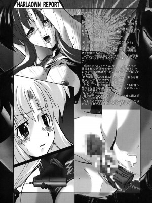 [WARP商会 (45ACP)] HARLAOWN REPORT (魔法少女リリカルなのは)_19