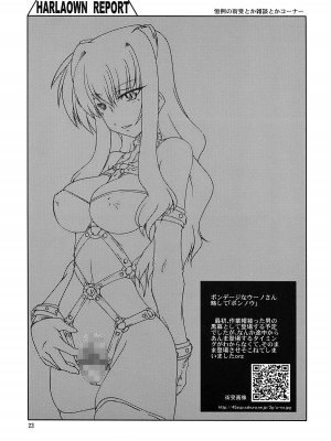 [WARP商会 (45ACP)] HARLAOWN REPORT (魔法少女リリカルなのは)_25