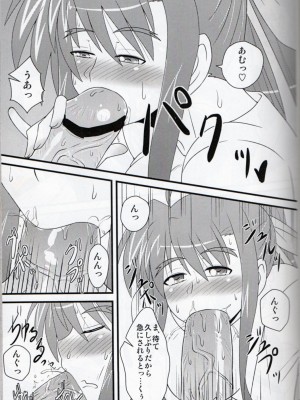 [しょんなか堂 (御剱剣)] リリカルままんず2 (魔法少女リリカルなのは)_9