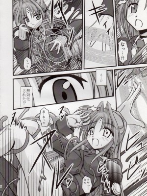 [鯵づくし (北宮弦武)] SYMBIONT (魔法少女リリカルなのは)_07