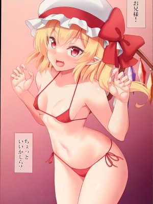 (C101)[月ノヒカリ計画 (東京ヤマネ)] フランドールとえっちなお遊び (東方Project)_02