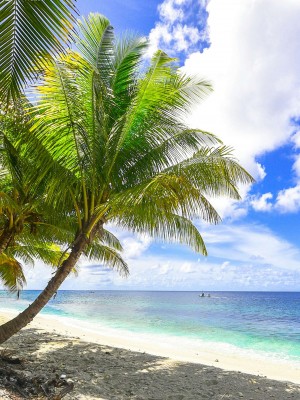 [Ackerman] 我的媽媽被損友穿上了 17-22_0537