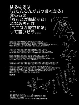 (C88) [恋☆天使同盟 (愛は無敵)] はるはるのハルハル♂が張る張るのでみなみさんときらりんで○○管理する本 (Go! プリンセスプリキュア)_03