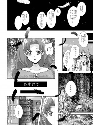 [MirrorWorld (未鏡)] 君の心に炎の輝きを (Go!プリンセスプリキュア) [DL版]_31_index_32_1