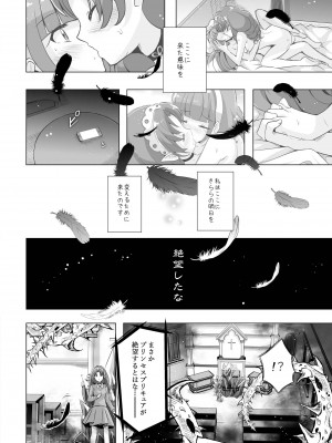 [MirrorWorld (未鏡)] 君の心に炎の輝きを (Go!プリンセスプリキュア) [DL版]_33_index_34_1