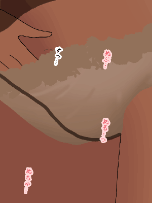 [サークルENZIN] 催眠浮気研究部14 最終話 后篇_0247