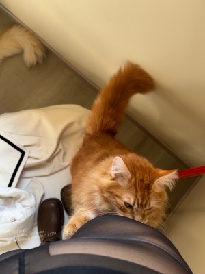 Mime 弥美 - 芙莉蓮自拍_27