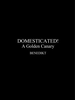 [BENEDIKT] DOMESTICATED! A Golden Canary_0007