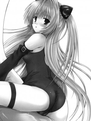 (同人誌) [しあわせ甘味料] ある★みかんとかの総集編 (ToLove)_p004