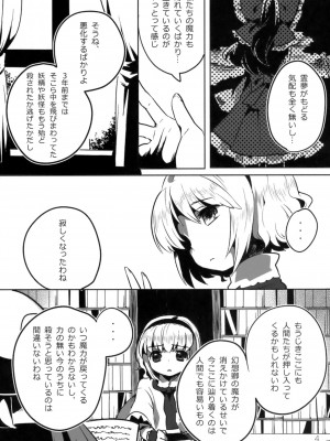 (例大祭8) [squeezecandyheaven (いちはや)] フィッチャーの鳥籠 (東方Project)_005