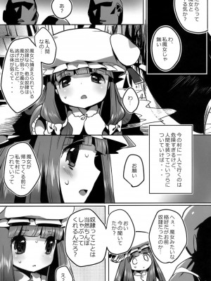 (例大祭8) [squeezecandyheaven (いちはや)] フィッチャーの鳥籠 (東方Project)_009