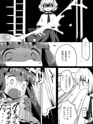 (例大祭8) [squeezecandyheaven (いちはや)] フィッチャーの鳥籠 (東方Project)_018