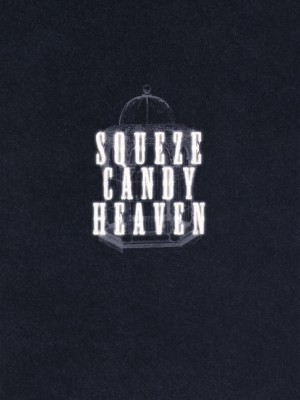 (例大祭8) [squeezecandyheaven (いちはや)] フィッチャーの鳥籠 (東方Project)_025