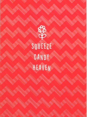 (例大祭9) [squeezecandyheaven (いちはや)] 単純明快! ぶらんしゅえなじー (東方Project)_002