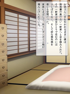 (同人CG集) [クリスタルマーメイド] お姉さんと僕の夏の日の秘密_028_027