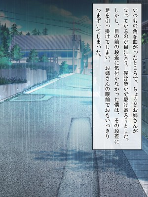 (同人CG集) [クリスタルマーメイド] お姉さんと僕の夏の日の秘密_067_066