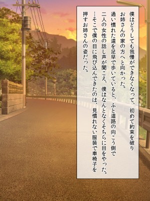 (同人CG集) [クリスタルマーメイド] お姉さんと僕の夏の日の秘密_102_101