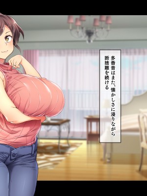 (同人CG集) [鳥居姫] 巨乳でムチムチな息子の嫁を寝取ってやった。_412_h029_06_01_10