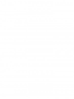 [がいなもん (夏の紅茶)] メイドインウルフ (東方Project) [DL版]_02