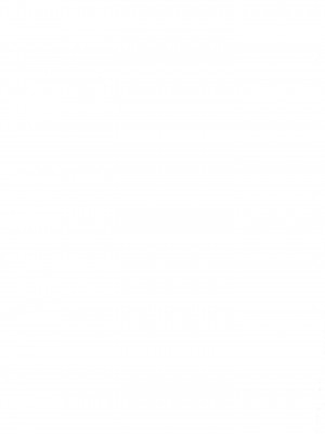 [がいなもん (夏の紅茶)] メイドインウルフ (東方Project) [DL版]_29