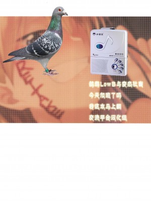 ニヤニヤ教授にズポズポ絞られる漫画 [鸽鹉LowB与变态社畜今天加班了吗我这本马上翻交流平台汉化组]_10