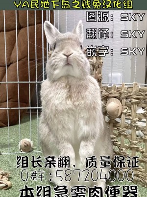 [PASTEL WING CherryICE (如月あいす)] DILDO!! (転生したらスライムだった件) [贱兔汉化组] [DL版]_22