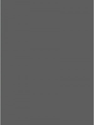 掠奪行動 1-9話_02_17