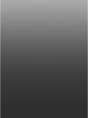 掠奪行動 1-9話_09_08