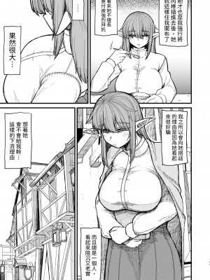 [キレイナブタ (ぶたちゃんぐ)] 異世界の女たち6.0｜異世界的女人們6.0&nbsp;&nbsp; [中文] [RX]_011