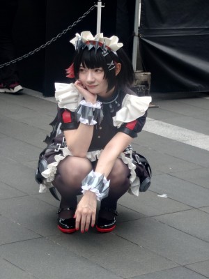 Lapin Angelia - Ellen Joe_047
